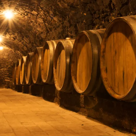 Cantina Tokaj