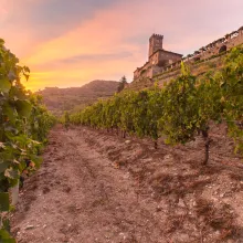Vigneti in valle d'Aosta