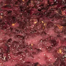 Fermentazione vino rosso